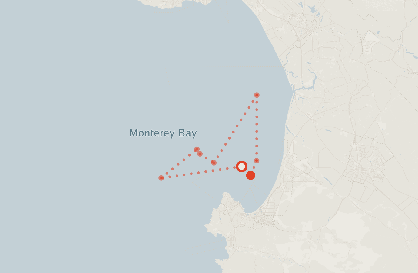 Activity map — real sighting points on an OpenStreetMap basemap