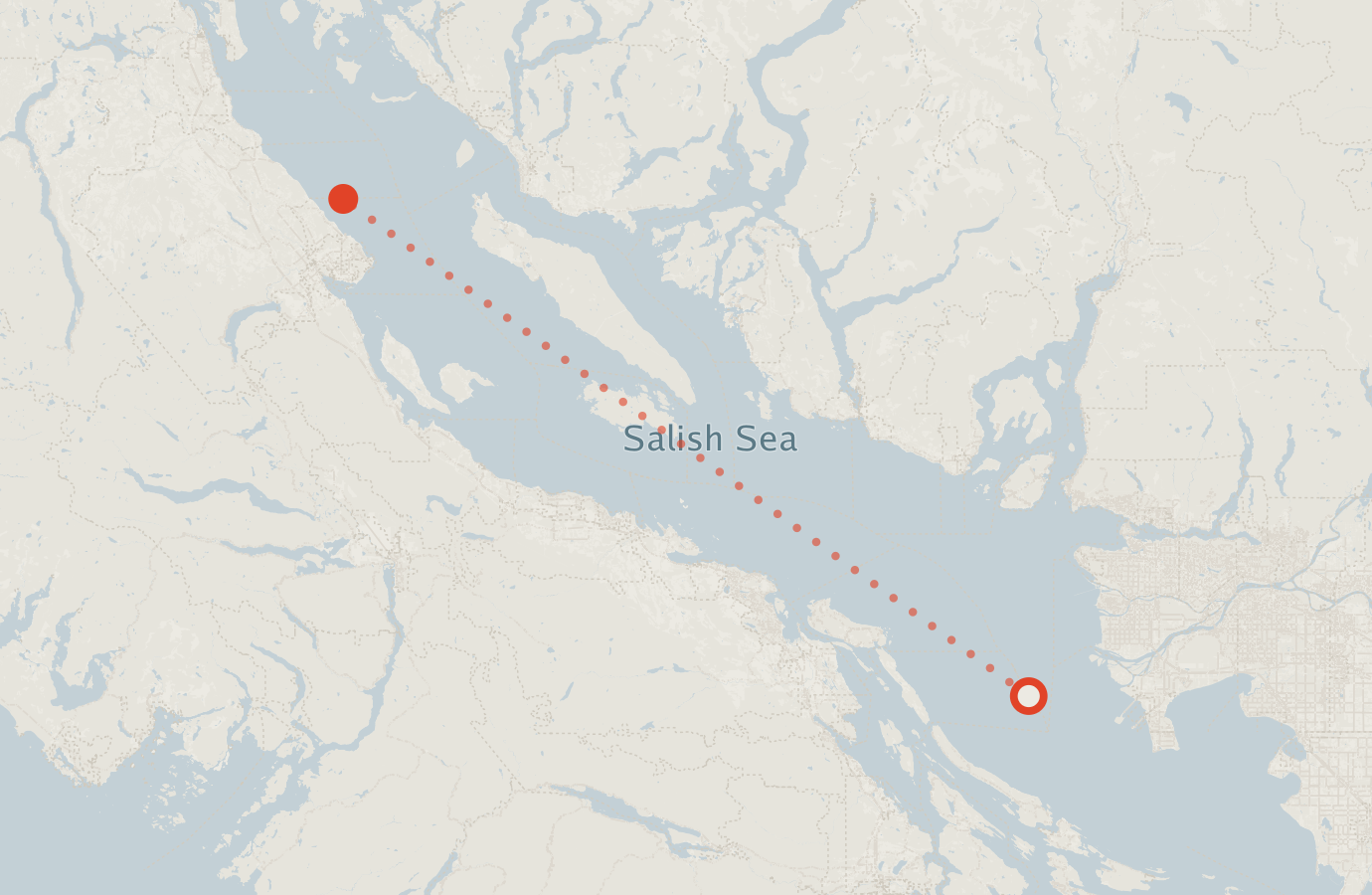 Activity map — real sighting points on an OpenStreetMap basemap