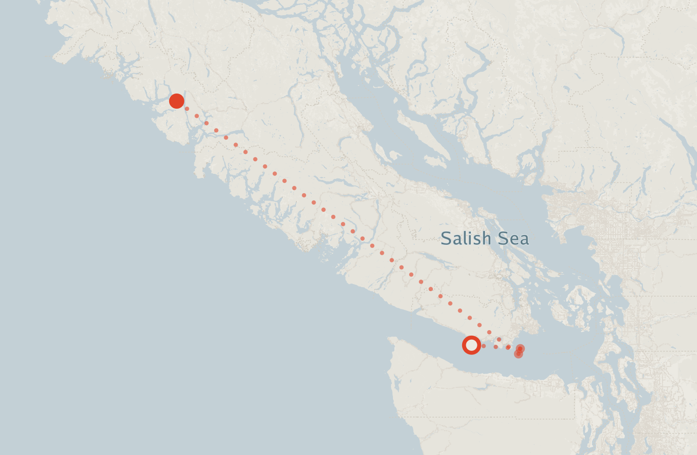 Activity map — real sighting points on an OpenStreetMap basemap