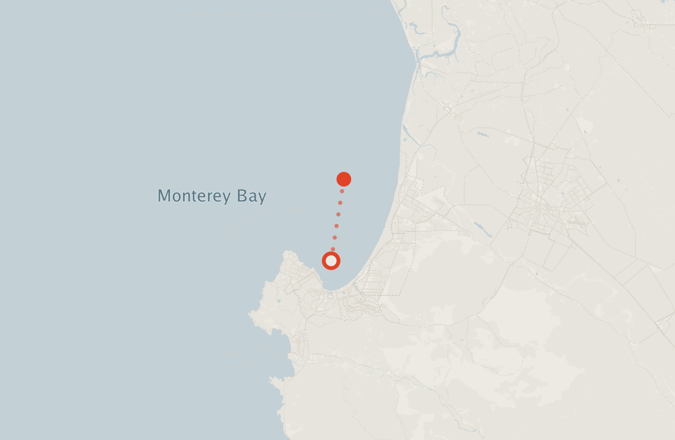 Activity map — real sighting points on an OpenStreetMap basemap