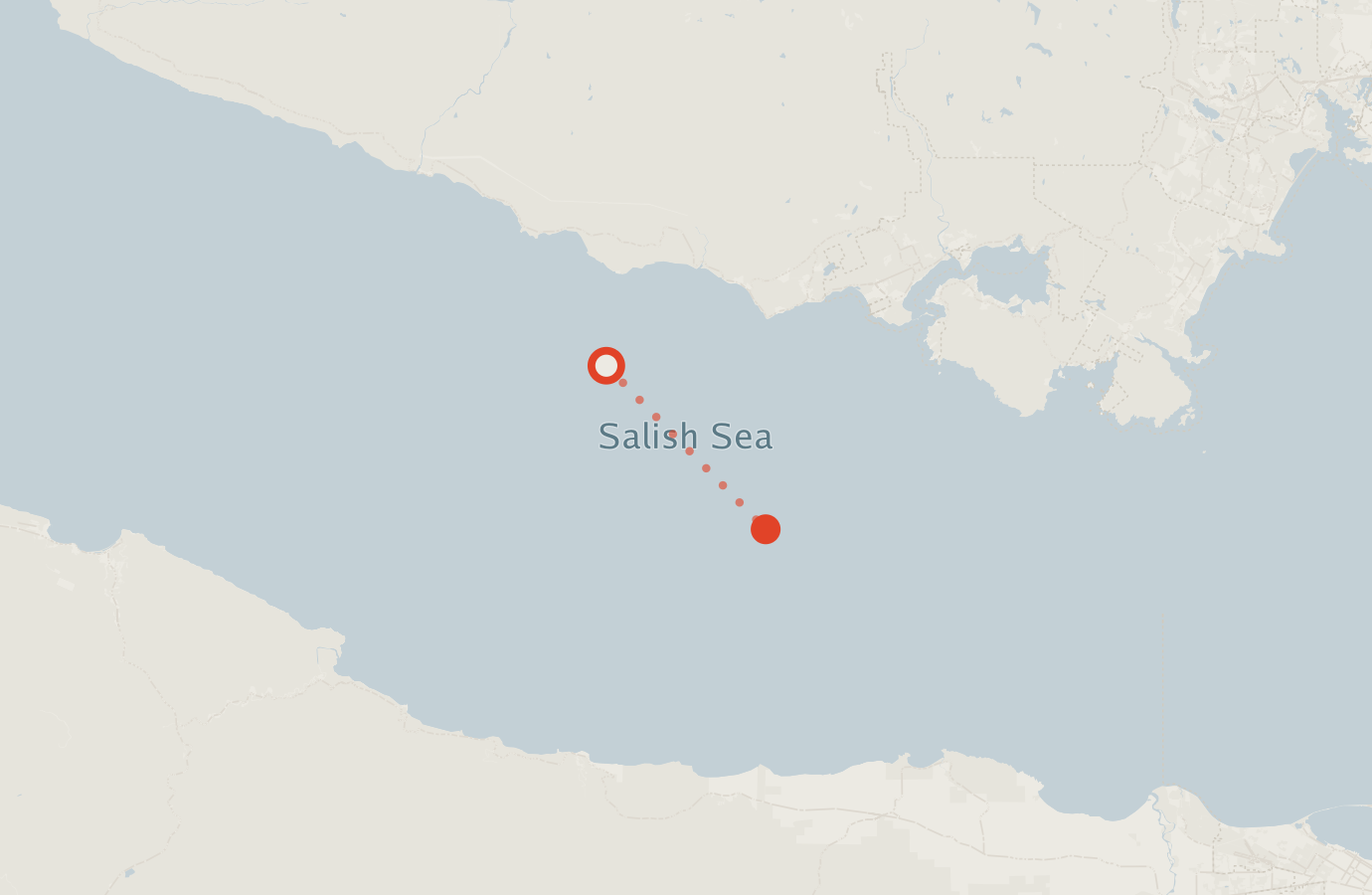 Activity map — real sighting points on an OpenStreetMap basemap