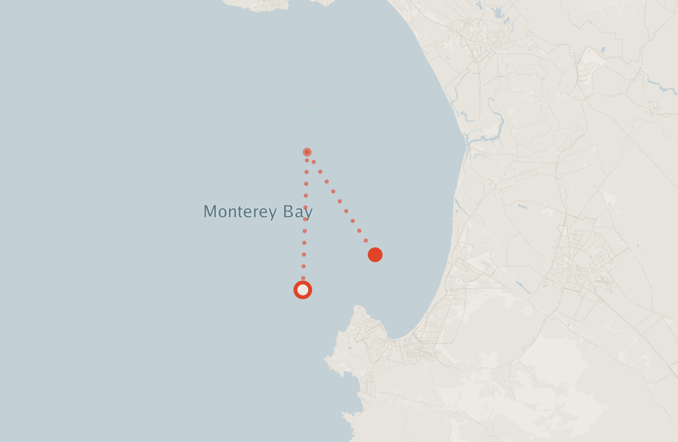 Activity map — real sighting points on an OpenStreetMap basemap