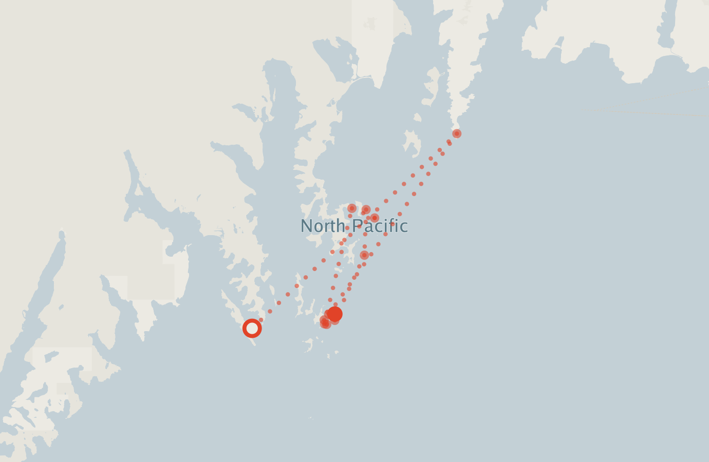 Activity map — real sighting points on an OpenStreetMap basemap