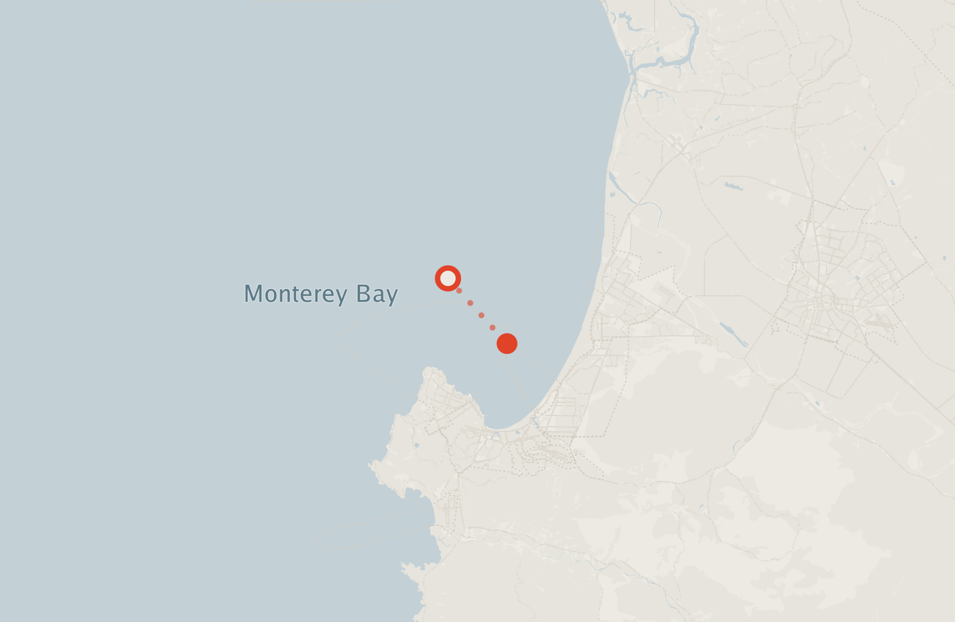 Activity map — real sighting points on an OpenStreetMap basemap