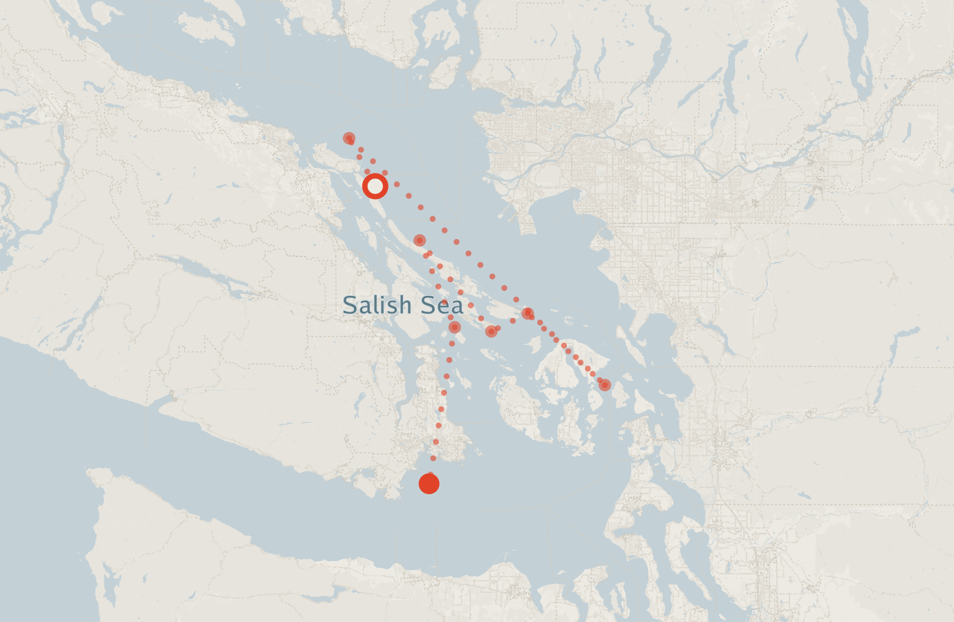 Activity map — real sighting points on an OpenStreetMap basemap