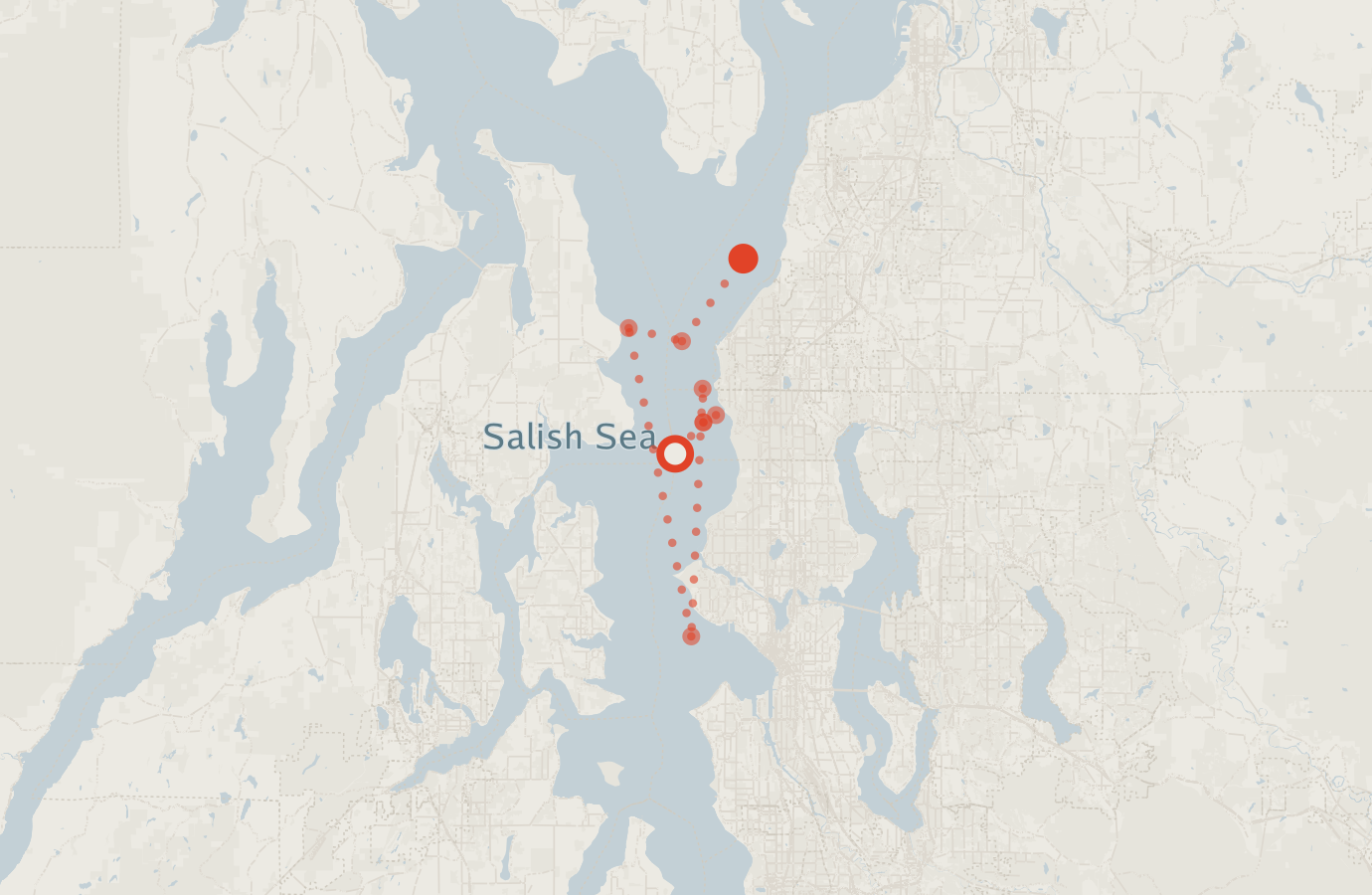 Activity map — real sighting points on an OpenStreetMap basemap