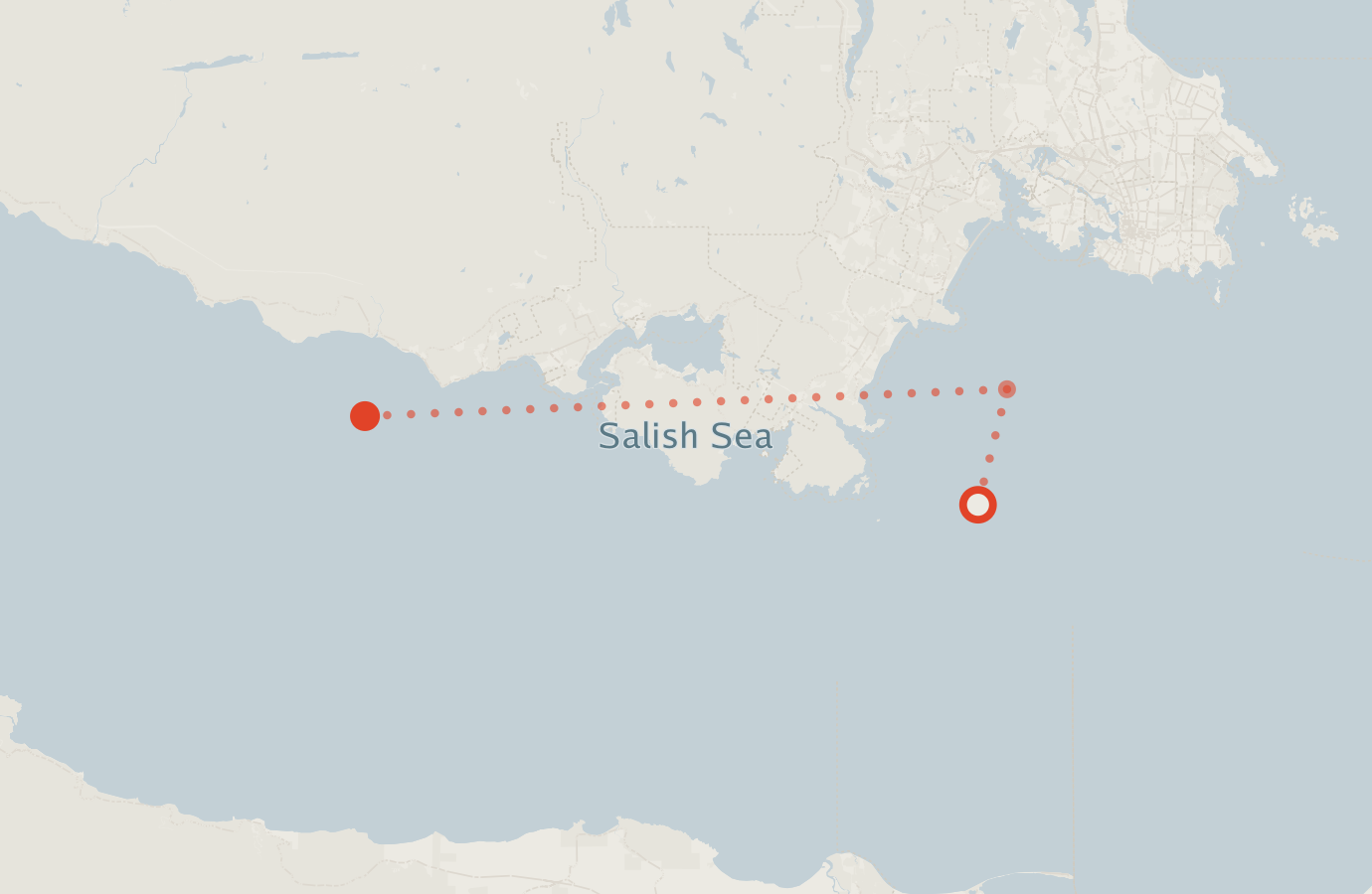Activity map — real sighting points on an OpenStreetMap basemap