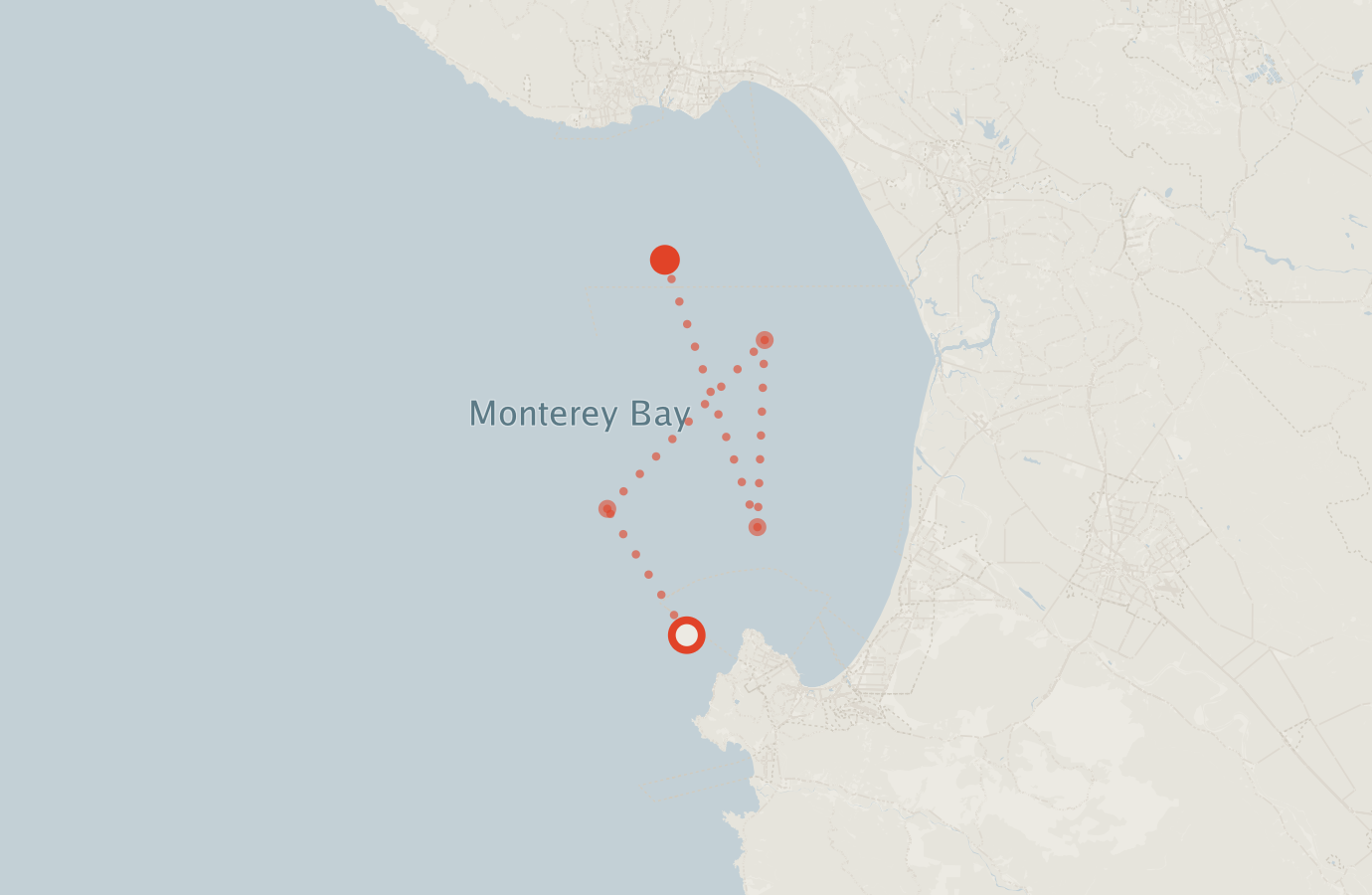 Activity map — real sighting points on an OpenStreetMap basemap