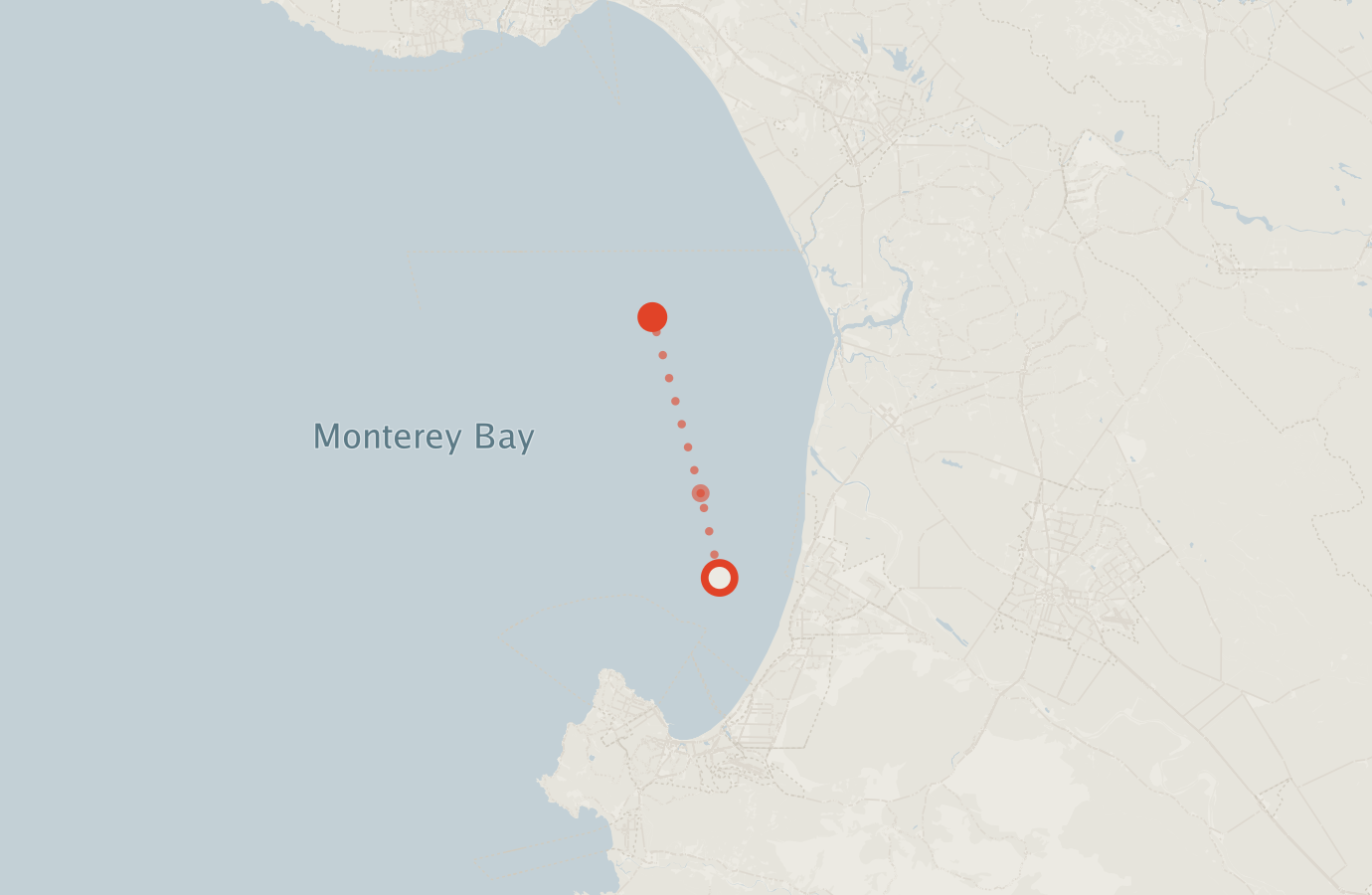 Activity map — real sighting points on an OpenStreetMap basemap