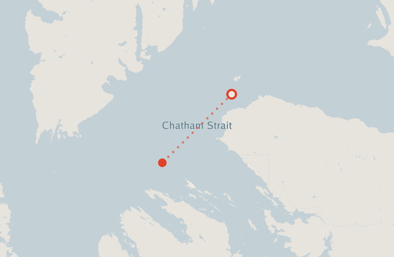 Activity map — real sighting points on an OpenStreetMap basemap