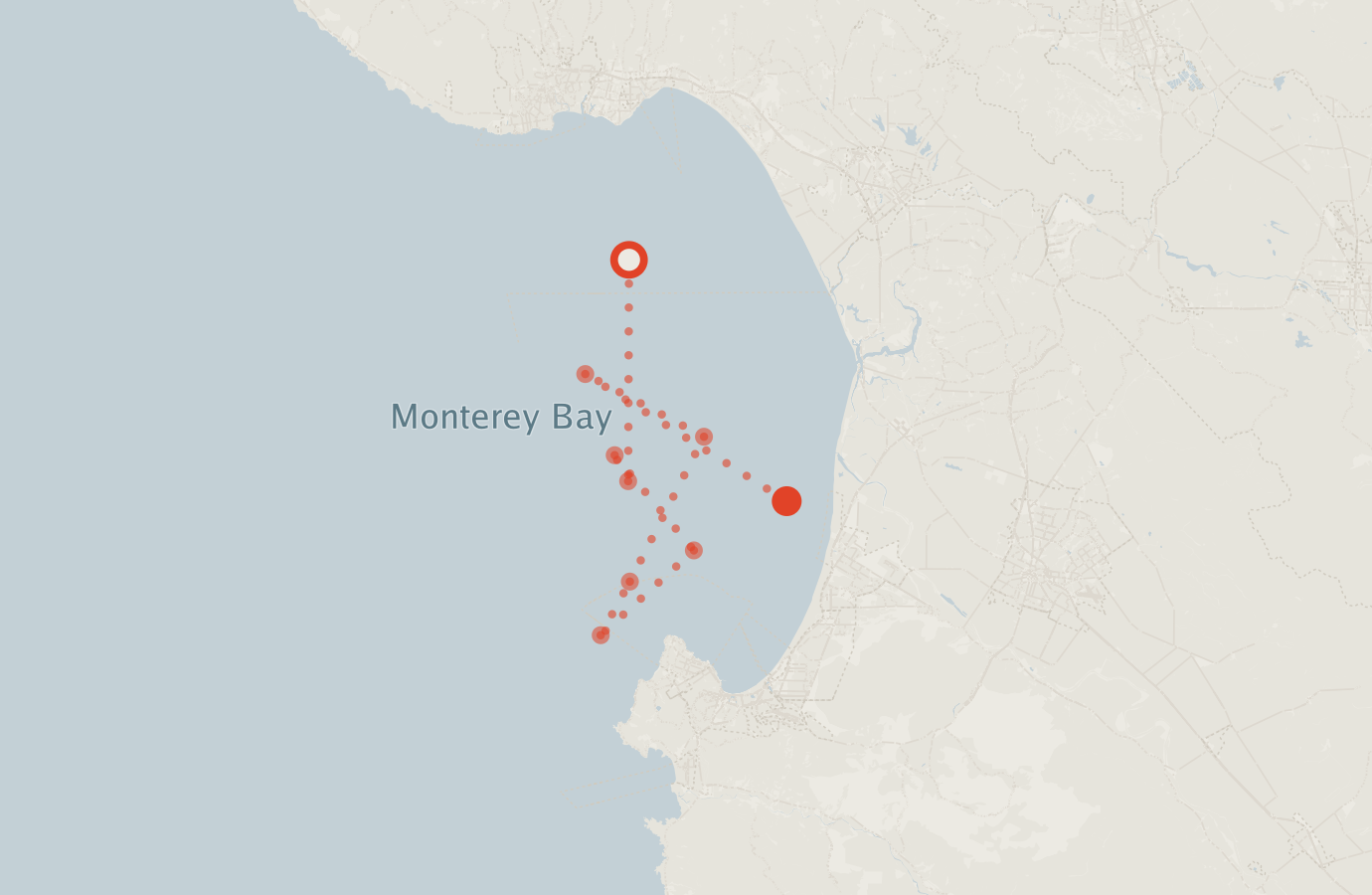 Activity map — real sighting points on an OpenStreetMap basemap