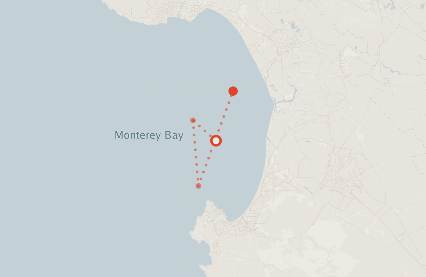Activity map — real sighting points on an OpenStreetMap basemap