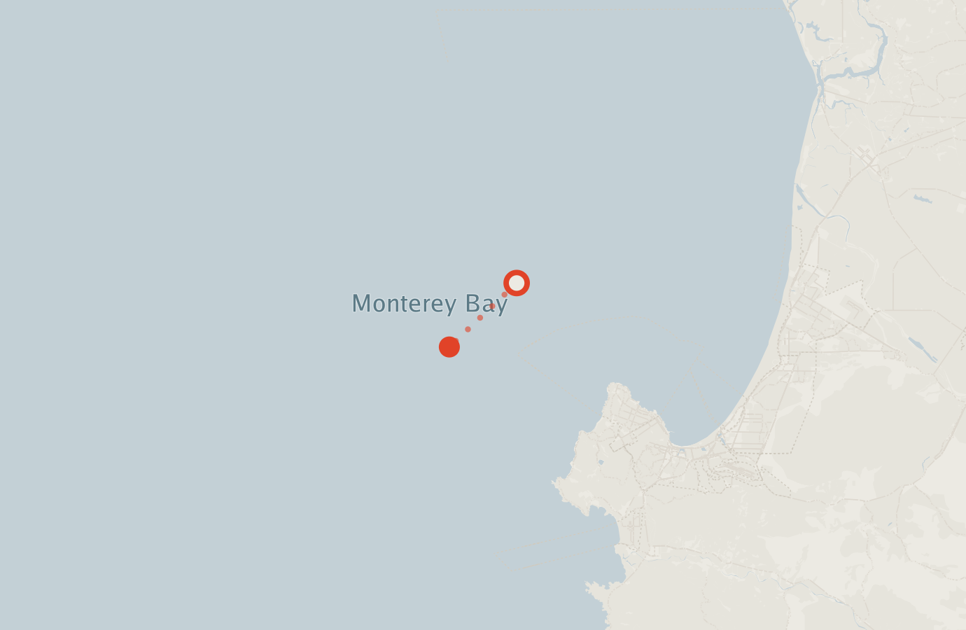 Activity map — real sighting points on an OpenStreetMap basemap