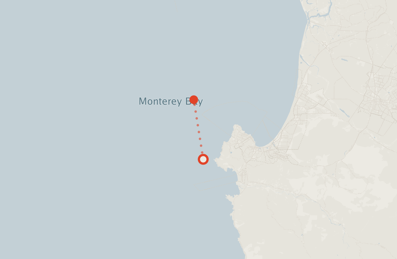 Activity map — real sighting points on an OpenStreetMap basemap