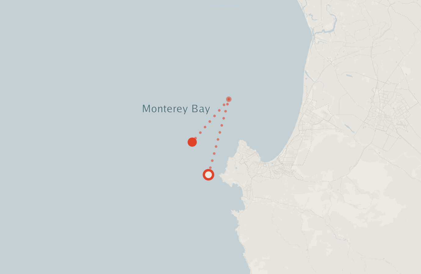Activity map — real sighting points on an OpenStreetMap basemap