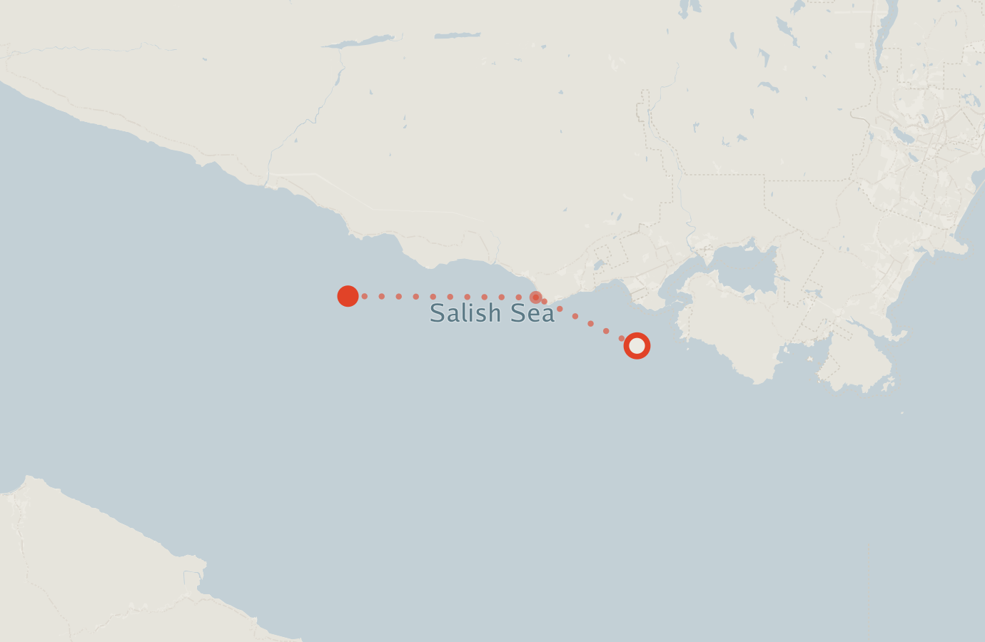 Activity map — real sighting points on an OpenStreetMap basemap