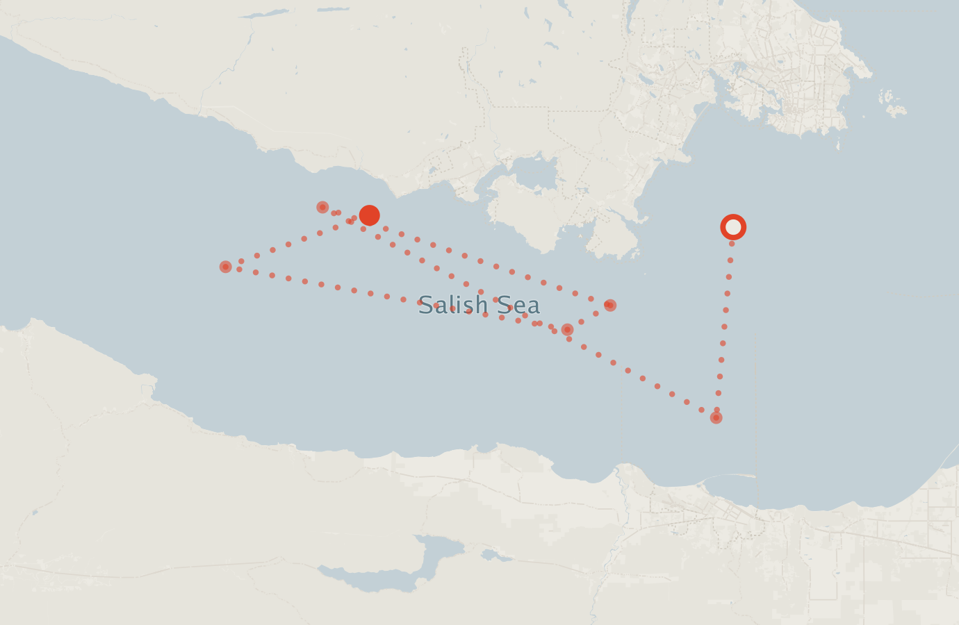 Activity map — real sighting points on an OpenStreetMap basemap