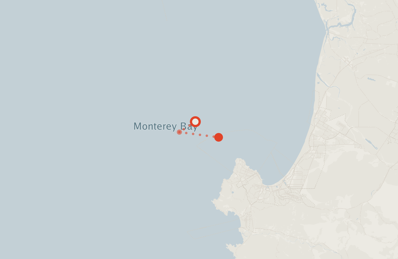 Activity map — real sighting points on an OpenStreetMap basemap