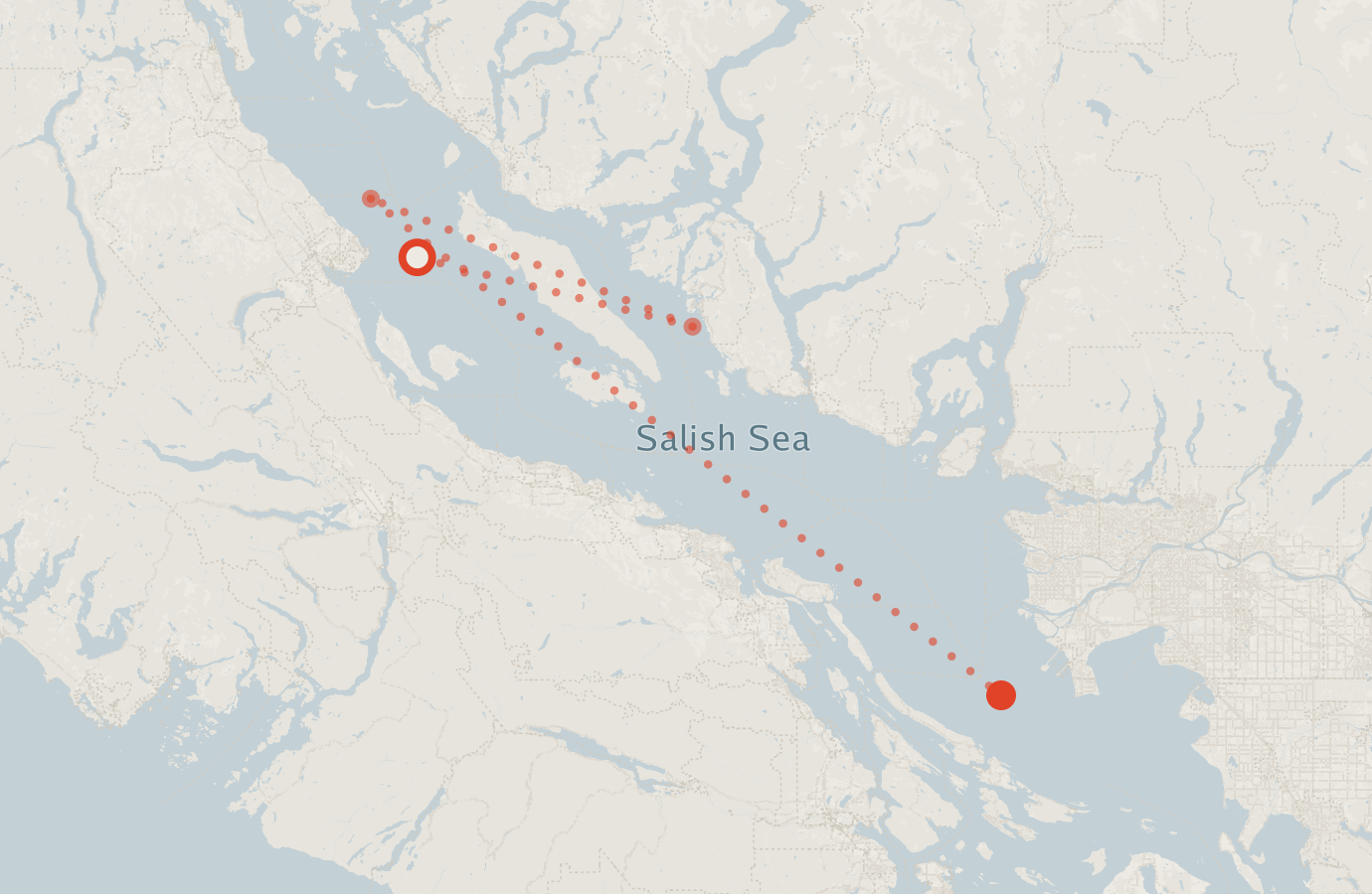 Activity map — real sighting points on an OpenStreetMap basemap