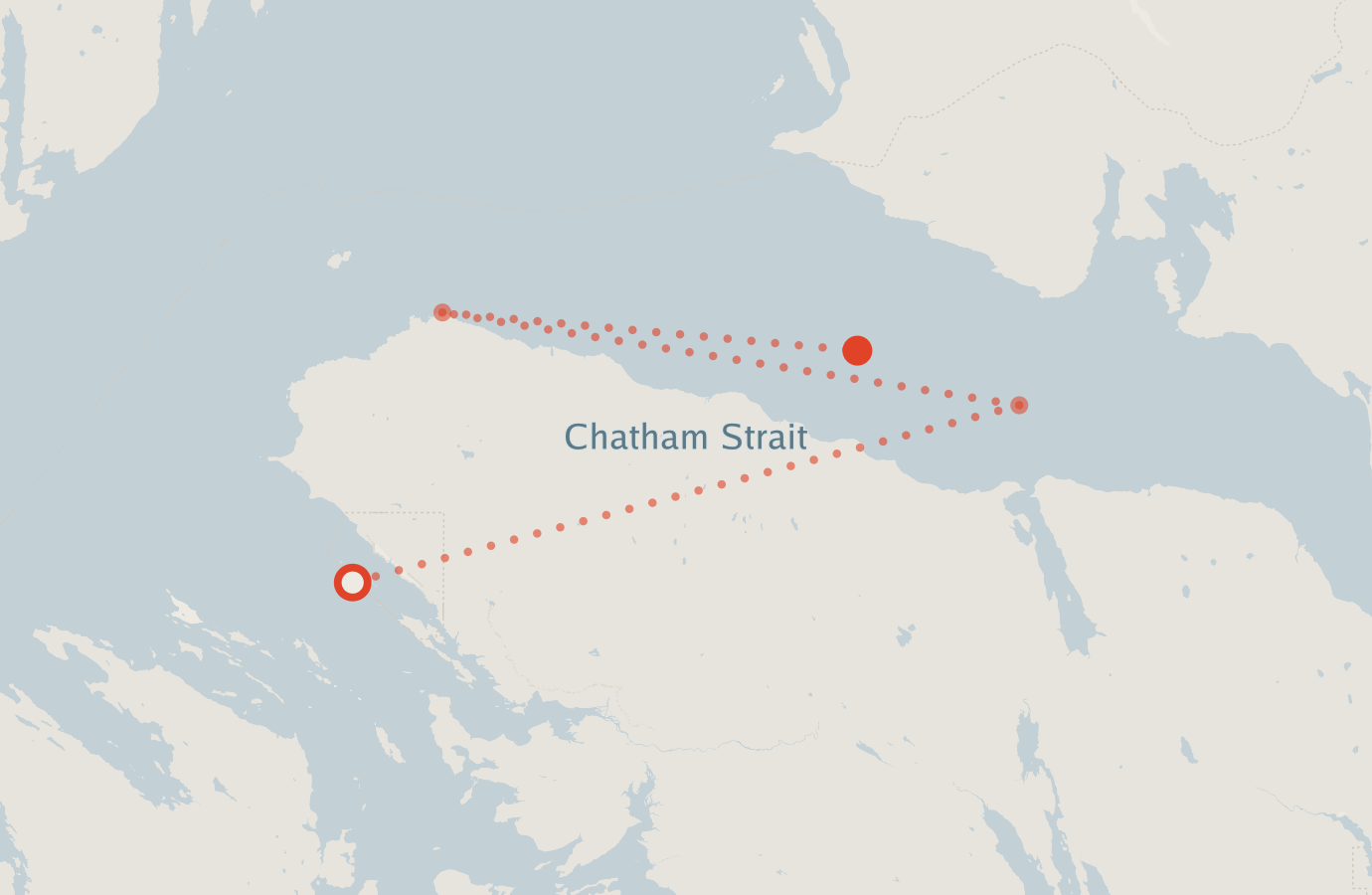 Activity map — real sighting points on an OpenStreetMap basemap