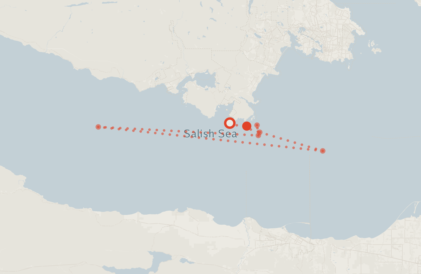 Activity map — real sighting points on an OpenStreetMap basemap