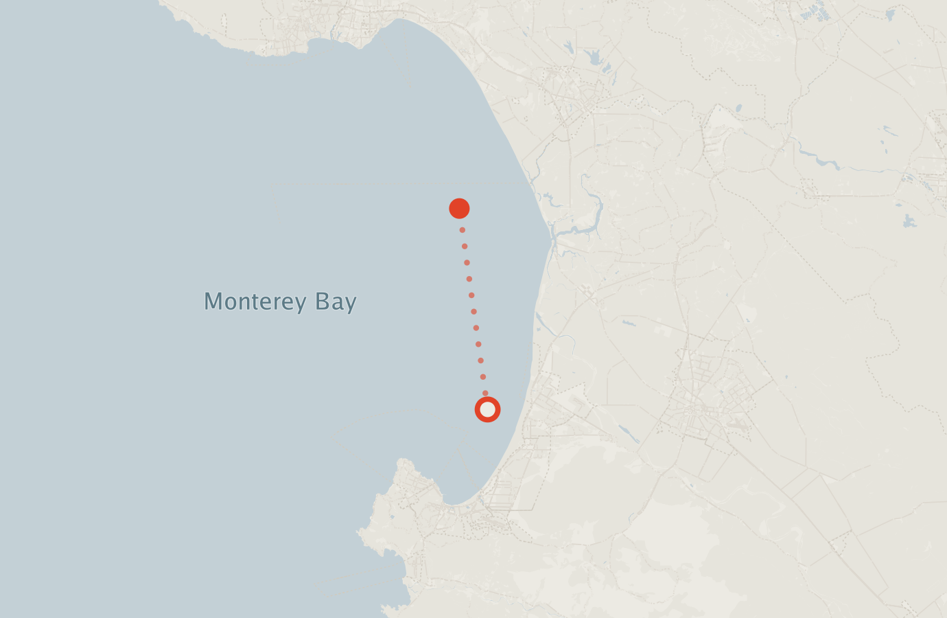 Activity map — real sighting points on an OpenStreetMap basemap
