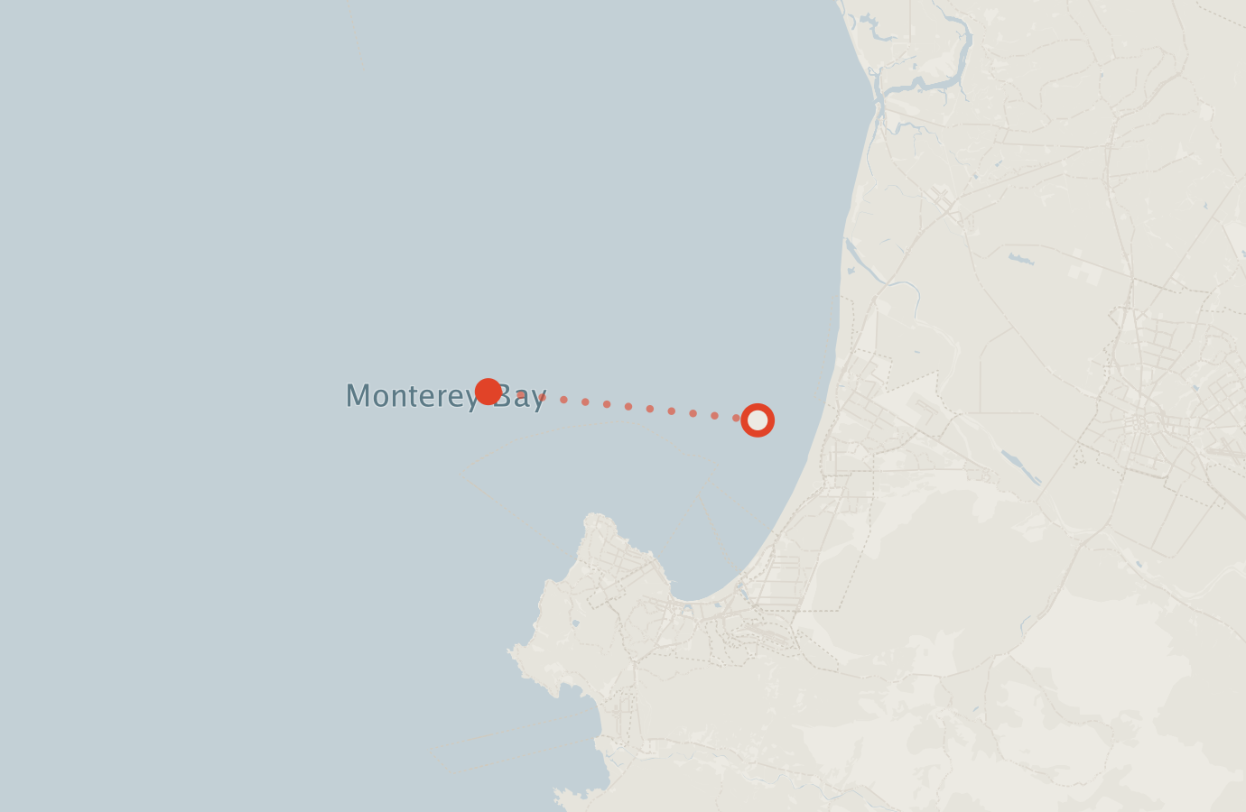 Activity map — real sighting points on an OpenStreetMap basemap