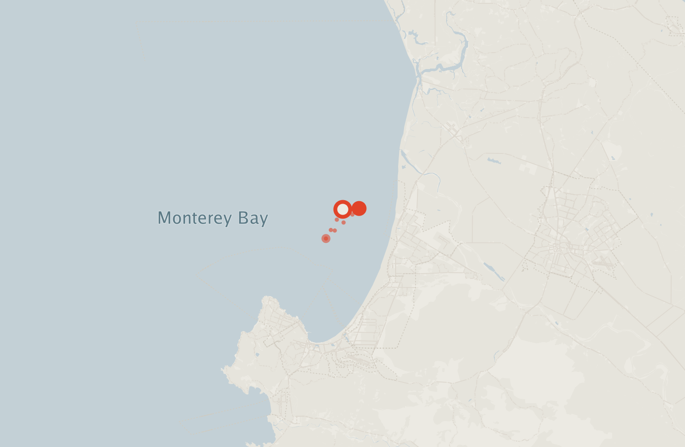 Activity map — real sighting points on an OpenStreetMap basemap
