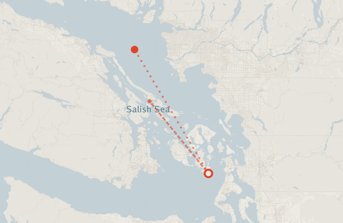 Activity map — real sighting points on an OpenStreetMap basemap