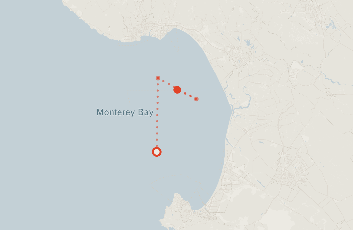 Activity map — real sighting points on an OpenStreetMap basemap