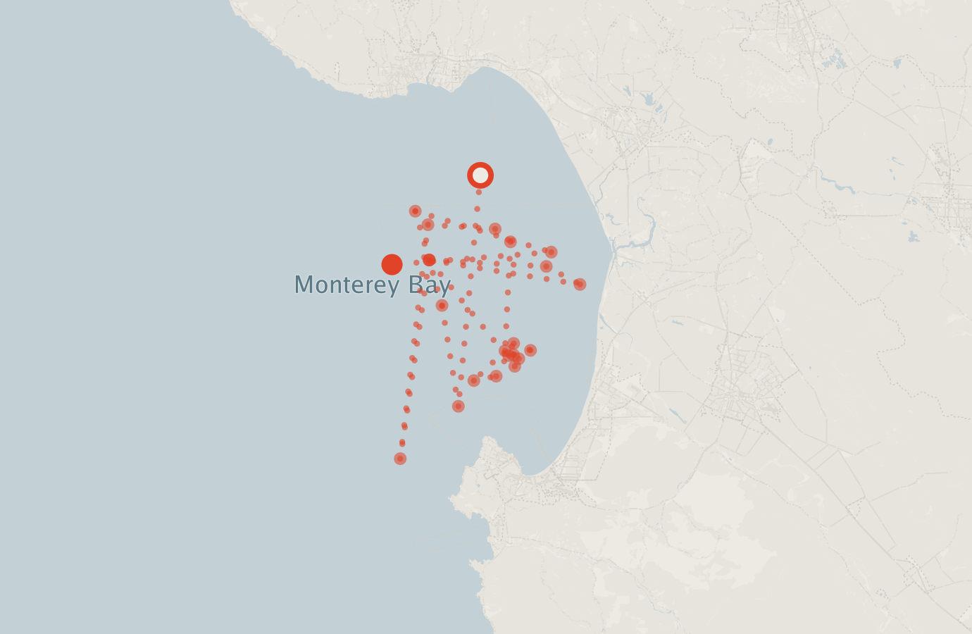 Activity map — real sighting points on an OpenStreetMap basemap