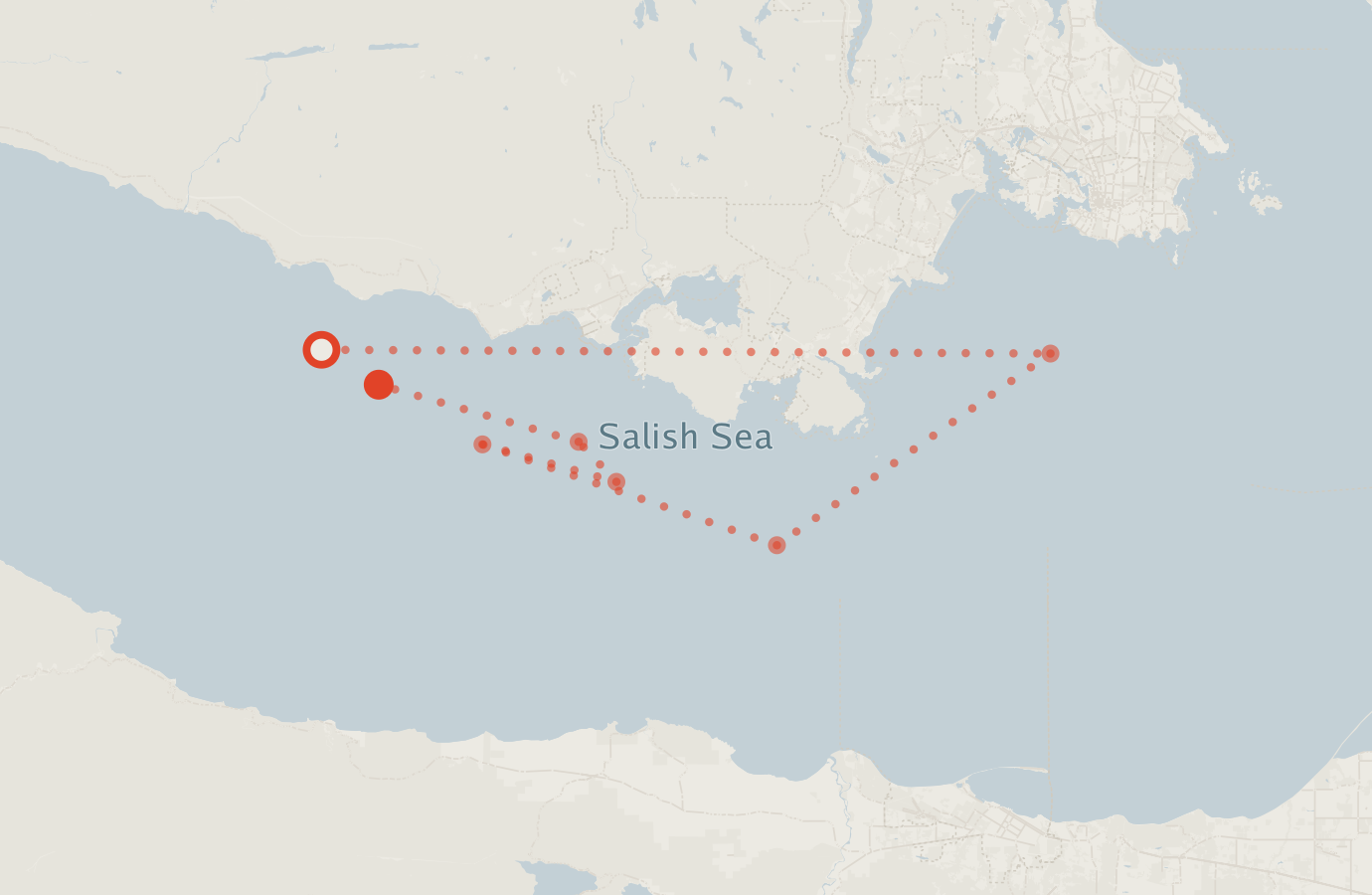 Activity map — real sighting points on an OpenStreetMap basemap