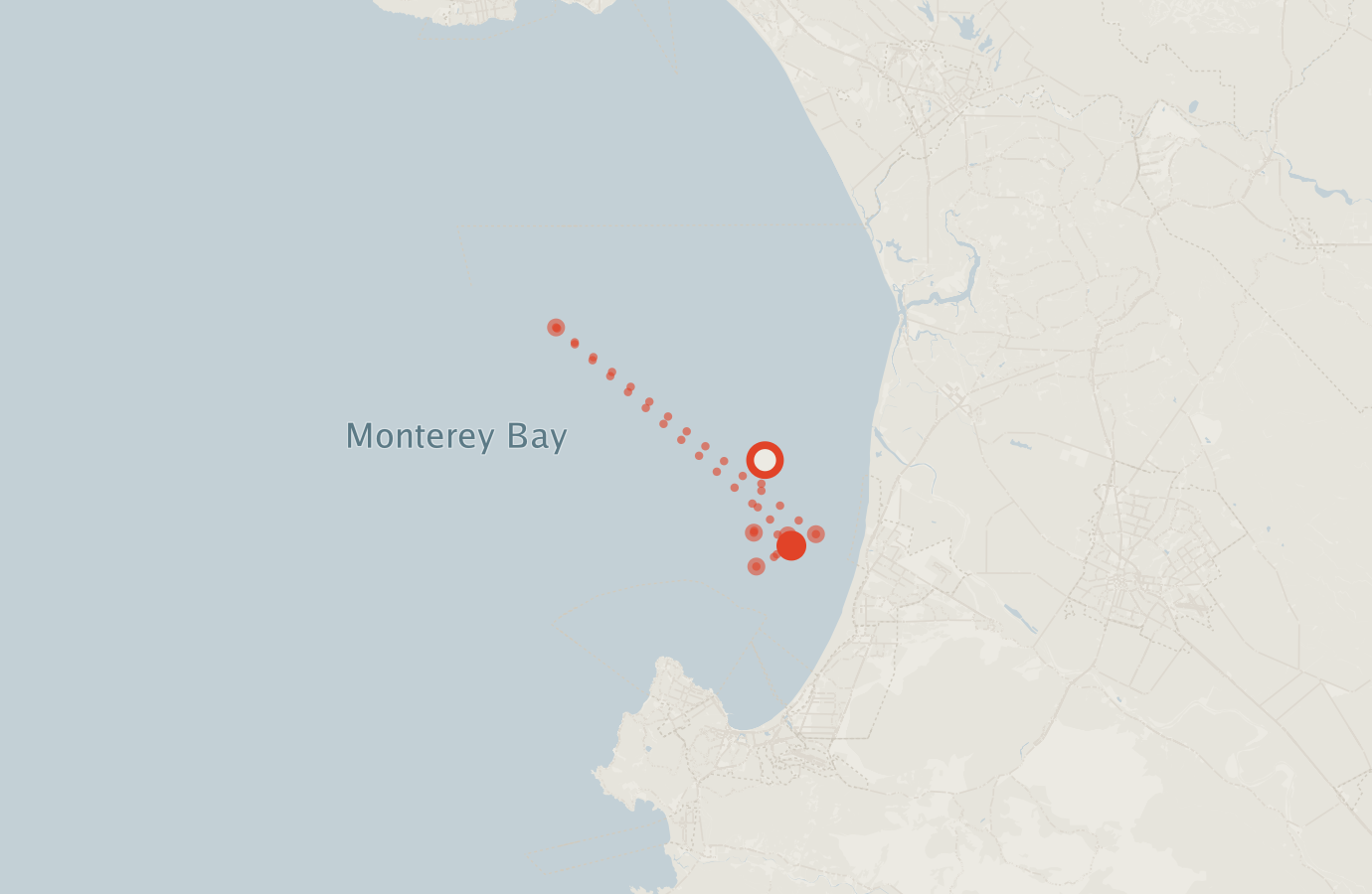 Activity map — real sighting points on an OpenStreetMap basemap