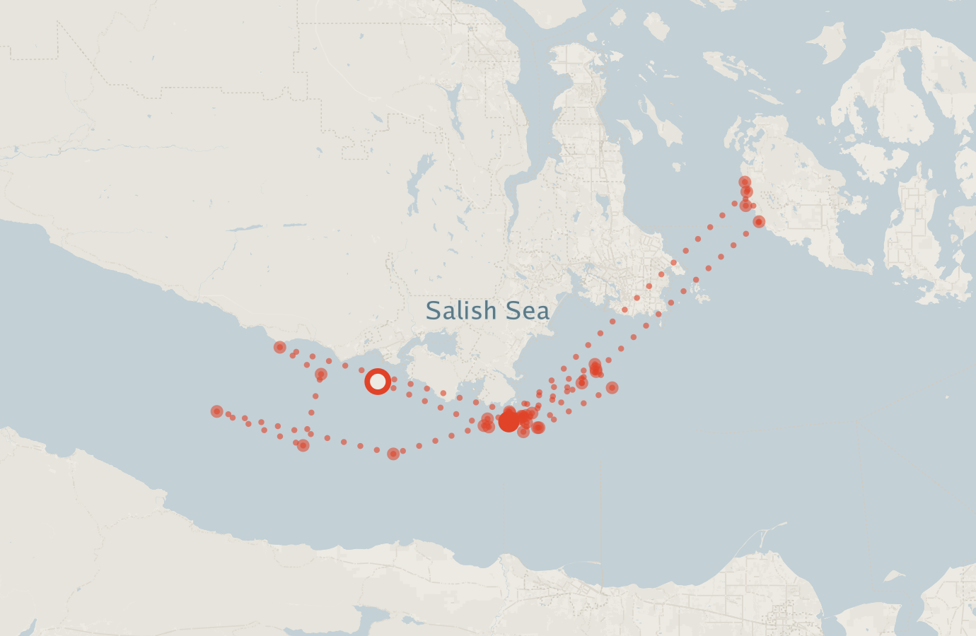 Activity map — real sighting points on an OpenStreetMap basemap