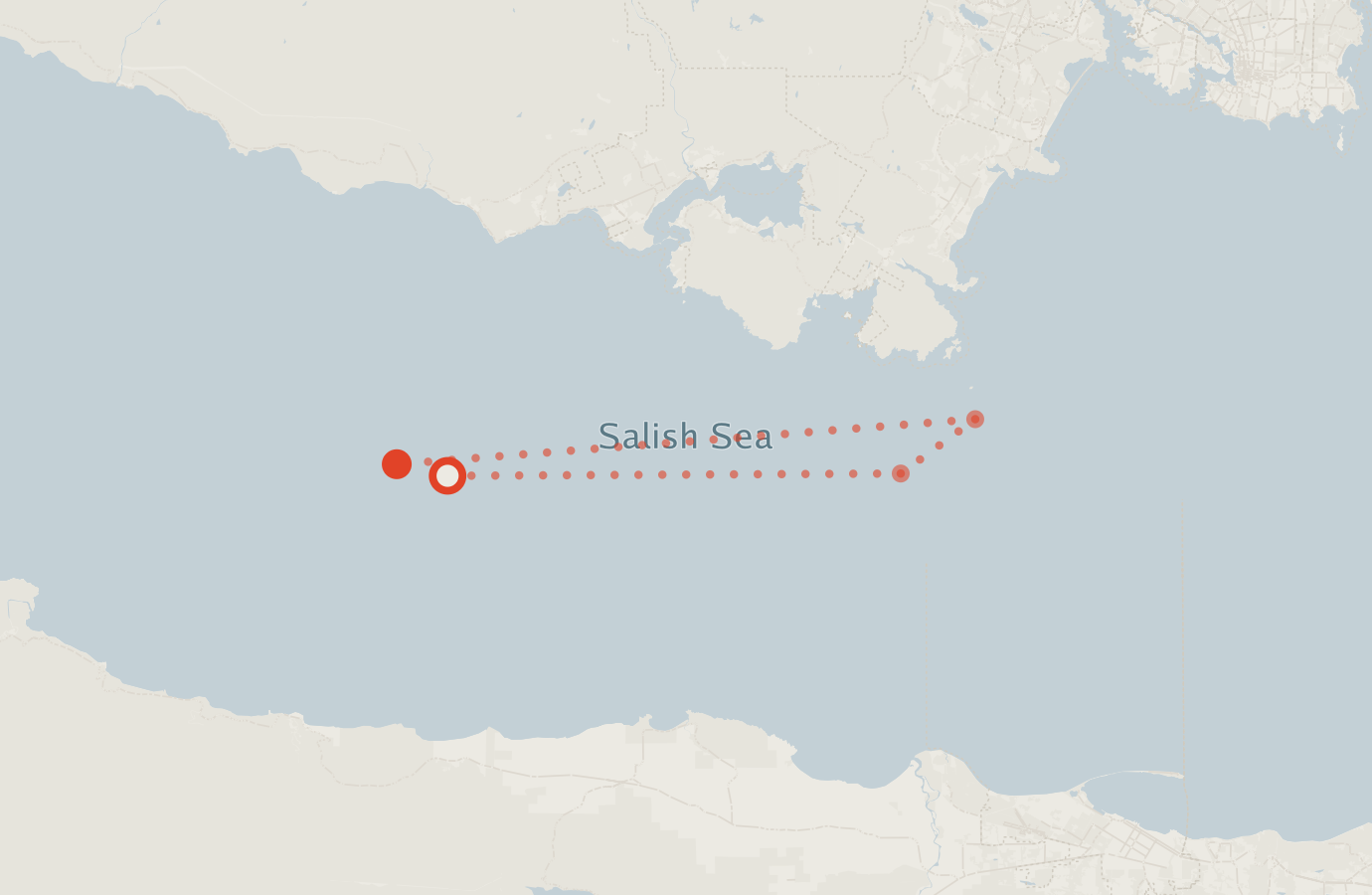 Activity map — real sighting points on an OpenStreetMap basemap