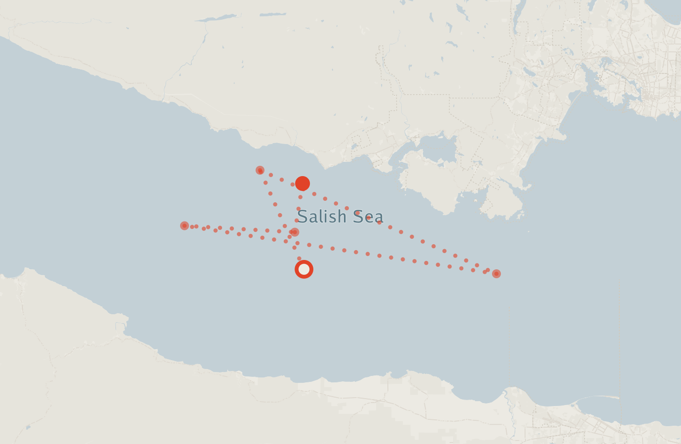 Activity map — real sighting points on an OpenStreetMap basemap