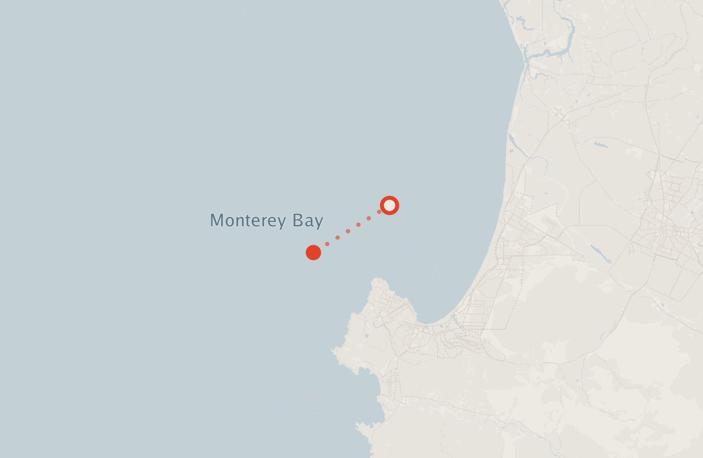Activity map — real sighting points on an OpenStreetMap basemap