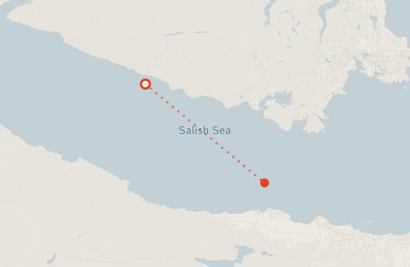 Activity map — real sighting points on an OpenStreetMap basemap