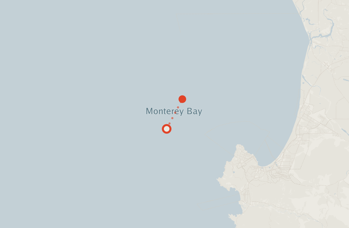 Activity map — real sighting points on an OpenStreetMap basemap