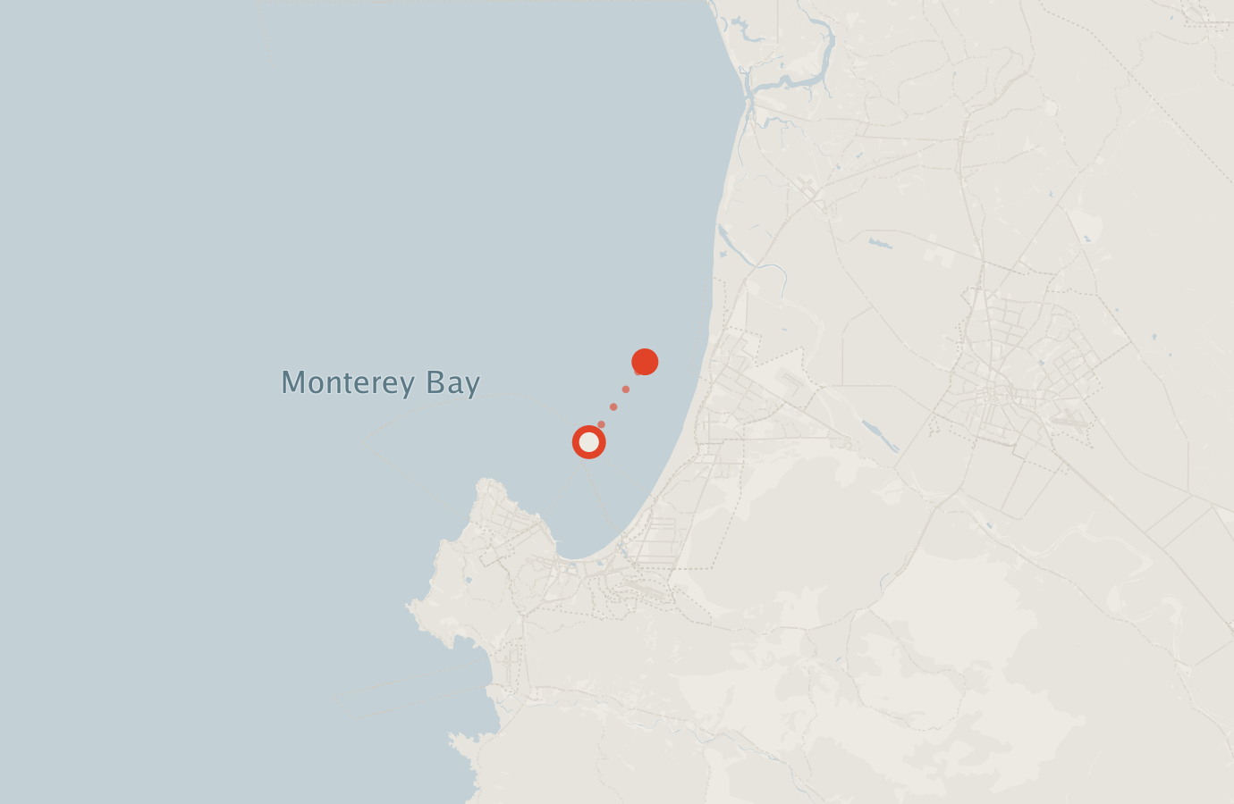 Activity map — real sighting points on an OpenStreetMap basemap