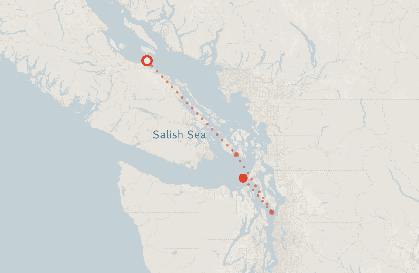 Activity map — real sighting points on an OpenStreetMap basemap