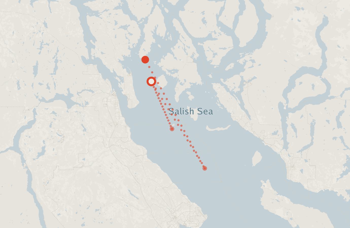Activity map — real sighting points on an OpenStreetMap basemap