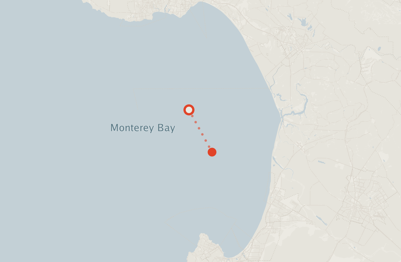 Activity map — real sighting points on an OpenStreetMap basemap