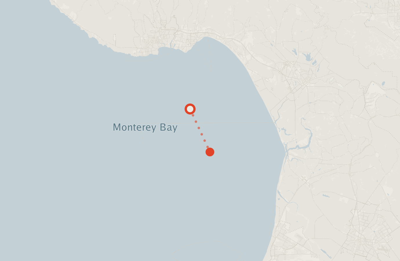 Activity map — real sighting points on an OpenStreetMap basemap