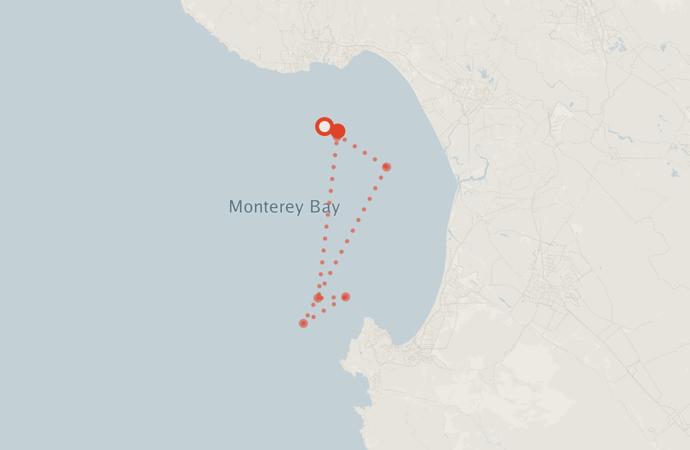 Activity map — real sighting points on an OpenStreetMap basemap