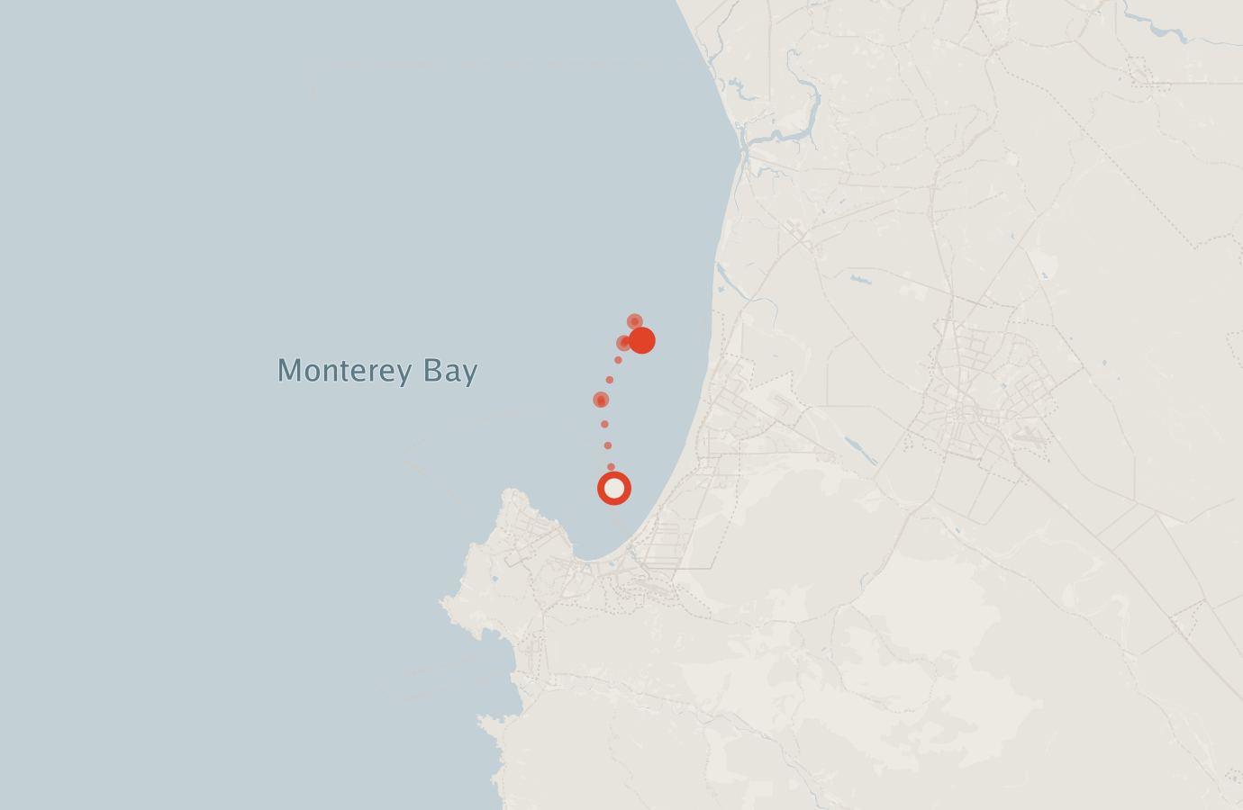 Activity map — real sighting points on an OpenStreetMap basemap
