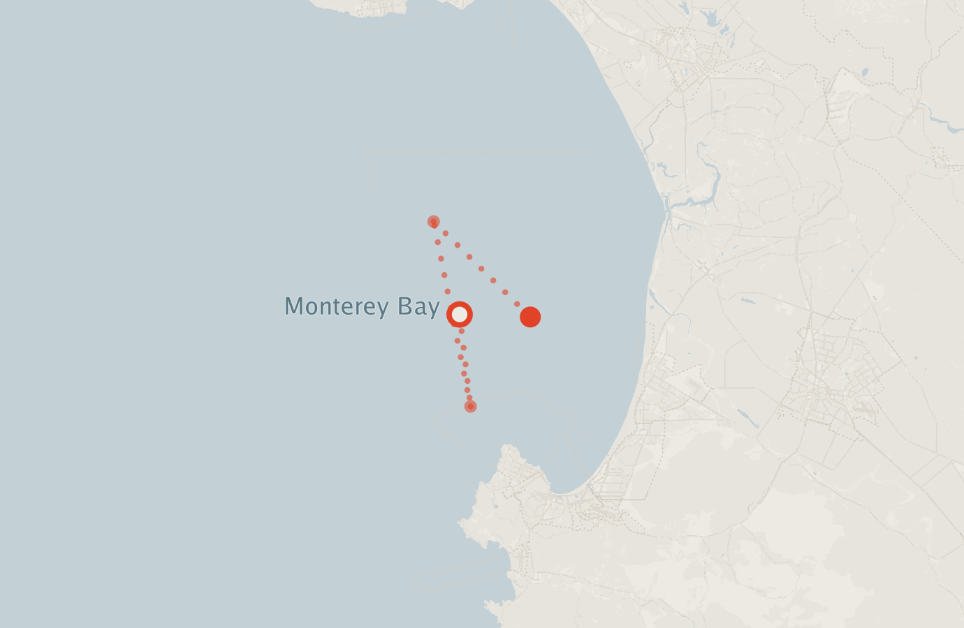 Activity map — real sighting points on an OpenStreetMap basemap