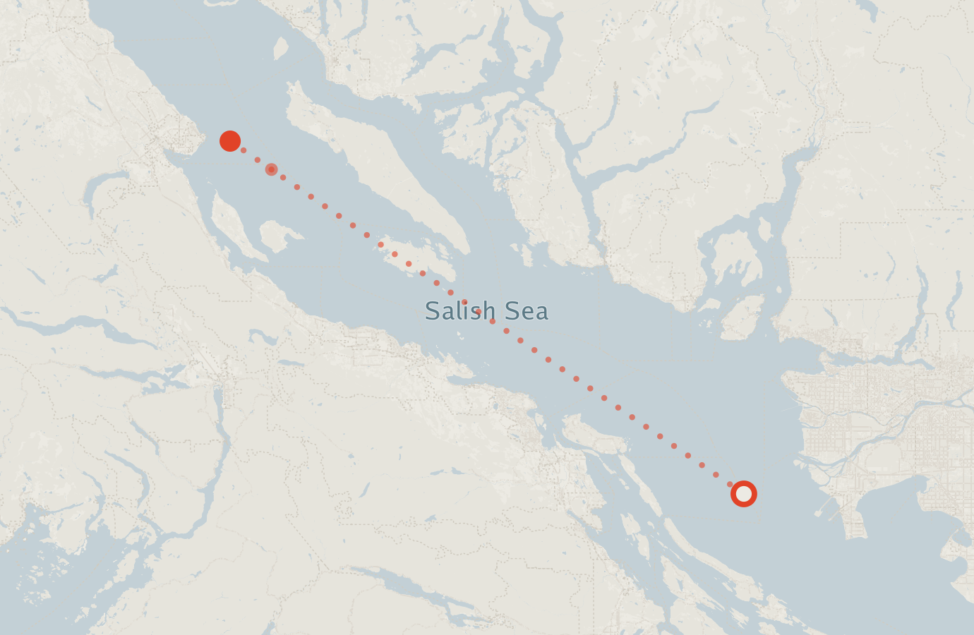 Activity map — real sighting points on an OpenStreetMap basemap