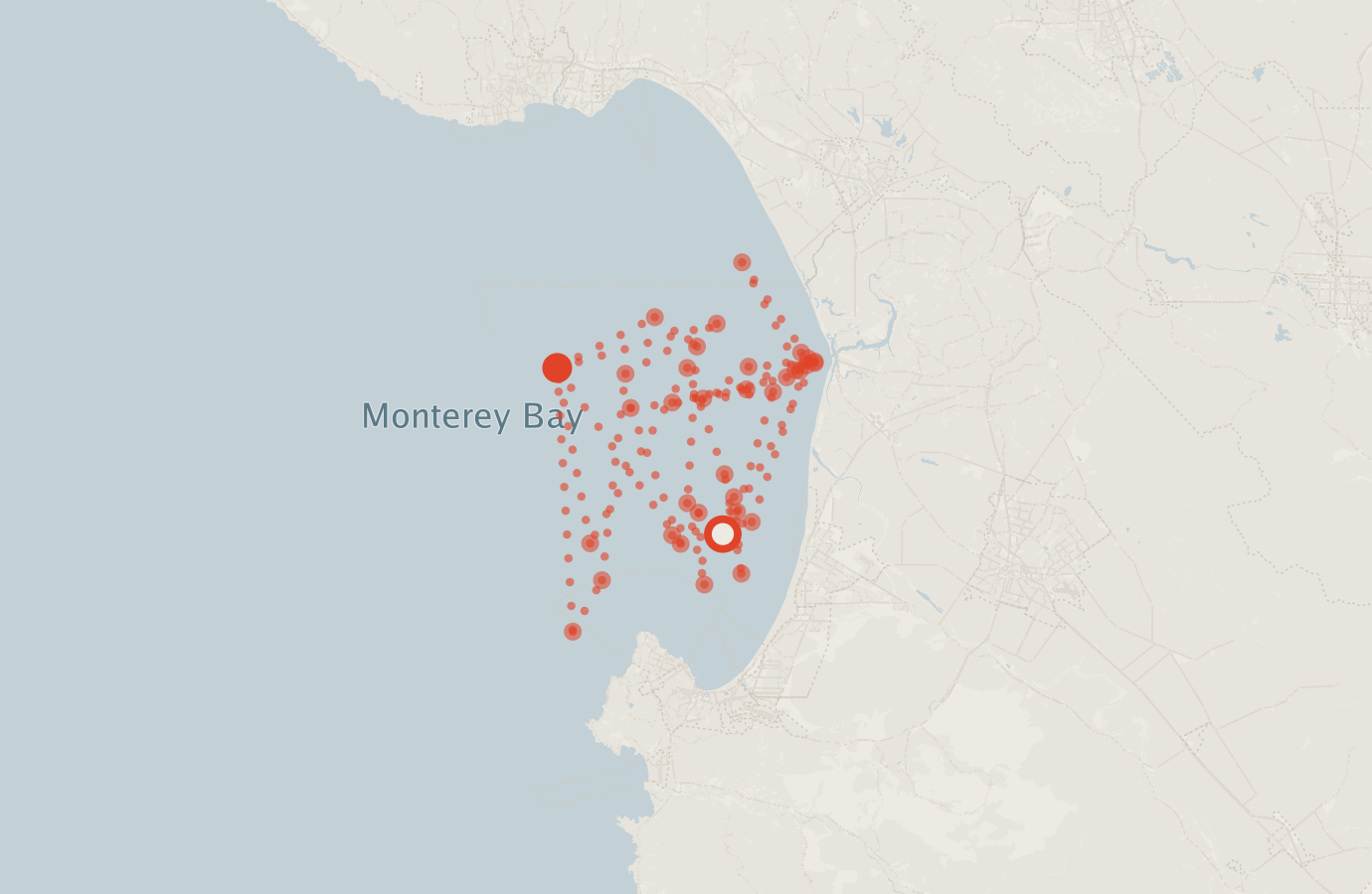 Activity map — real sighting points on an OpenStreetMap basemap