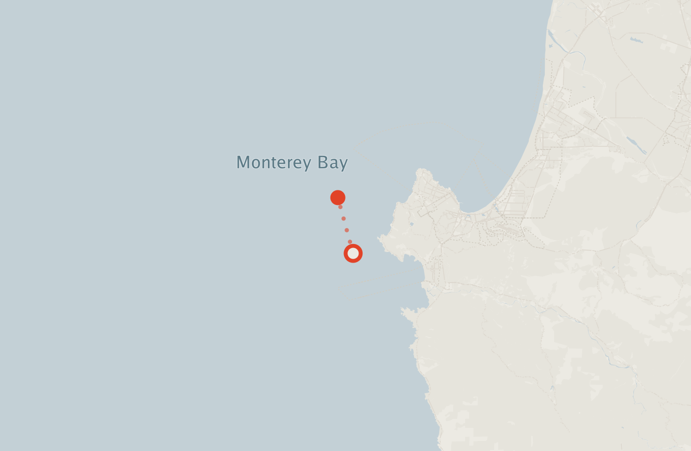 Activity map — real sighting points on an OpenStreetMap basemap